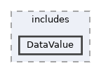 lib/includes/DataValue